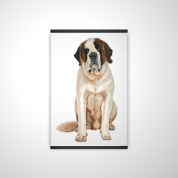 Saint-bernard