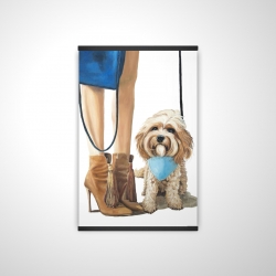 Chien cavoodle à la mode