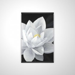 Overhead view of a lotus flower