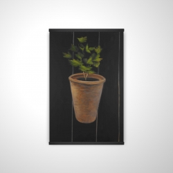 Plant of parsley