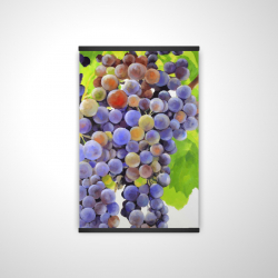 Magnetic 28 x 42 - 3D - Bunch of grapes