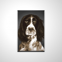 Springer spaniel anglais brun