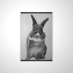 Funny gray rabbit