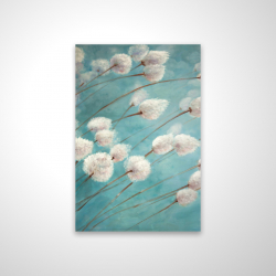 Cotton grass plants in the wind