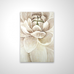 Delicate chrysanthemum
