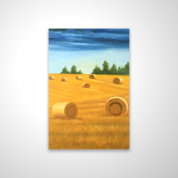 Magnetic 20 x 30 - 3D - Landscape of the countryside