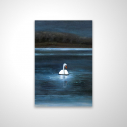 Magnifique cygne