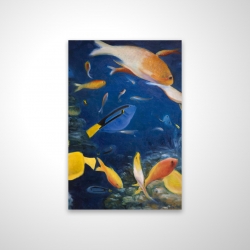 Poissons colorés sous l'océan