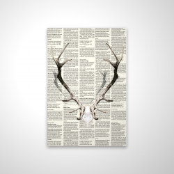 Deer horns on newspaper