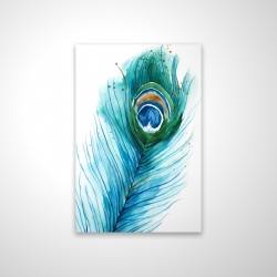 Long peacock feather