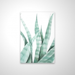 Watercolor striped desert plant