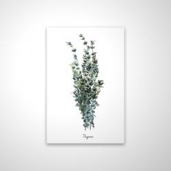 Thyme leaves bundle - en