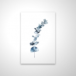 Feuilles d'eucalyptus bleu