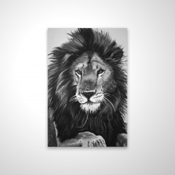 The lion king