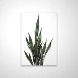 Magnétique 20 x 30 - 3D - Plante couteau