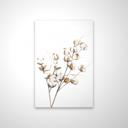 A branch of cotton flowers