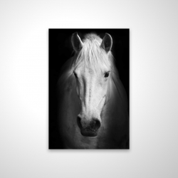 Monochrome horse