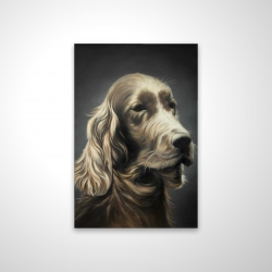 Field spaniel