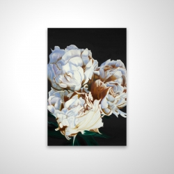 Pivoine en floraison