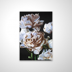 Peonies