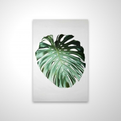 Monstera leaf