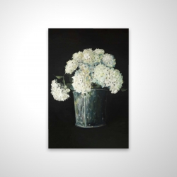 White hydrangea flowers