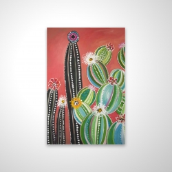Cactus en arc-en-ciel