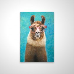 Aimable llama