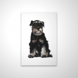 Schnauzer nain