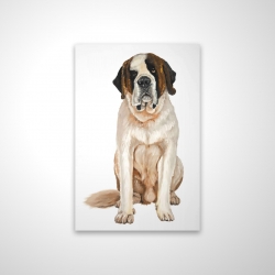 Saint-bernard