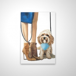 Chien cavoodle à la mode