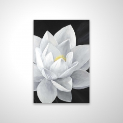 Overhead view of a lotus flower