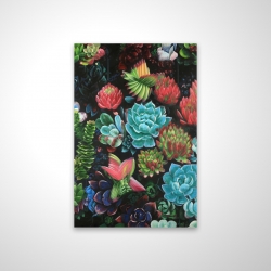 Magnetic 20 x 30 - 3D - Set of colorful succulents