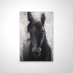 Black horse