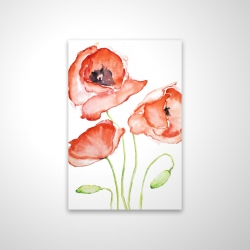 Watercolor poppies