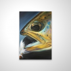 Magnetic 28 x 42 - 3D - Golden trout with fly fishing flie