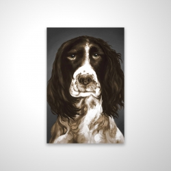 Springer spaniel anglais brun