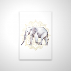 Elephant on mandalas