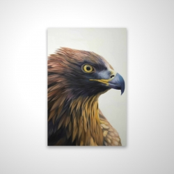 Brown-headed eagle