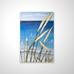 Oyat plant and seaside
