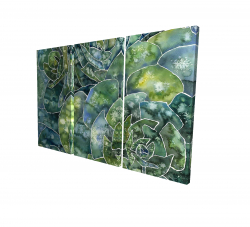 Succulents abstrait