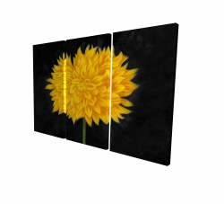 Canvas 24 x 36 - 3D - Yellow chrysanthemum