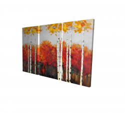 Bouleaux en automne