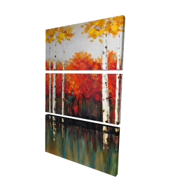 Bouleaux en automne