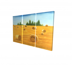Paysage de la campagne