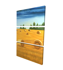 Paysage de la campagne