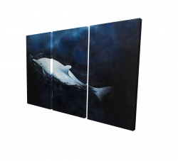 Canvas 24 x 36 - 3D - Swimming dolphin