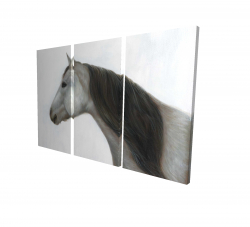 Winter horse