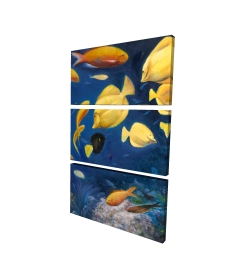 Poissons sous l'océan