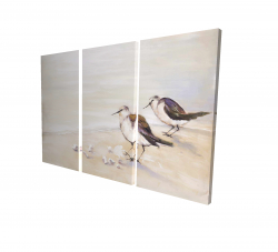 Canvas 24 x 36 - 3D - Two sandpipers on the beach